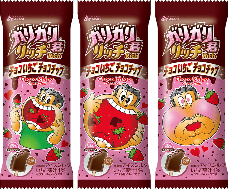 ガリガリ君リッチ チョコいちごチョコチップ（スティック）